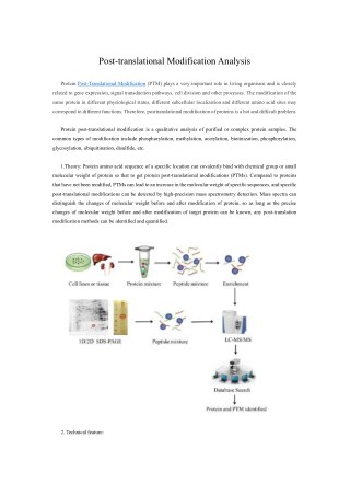 Post-translational Modification Analysis