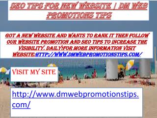 SEO Tips For New Website DM Web Promotions Tips