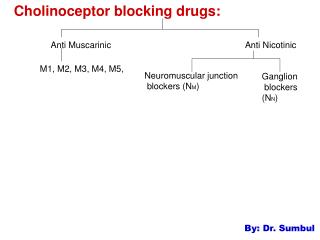 Cholinoceptor blocking drugs: