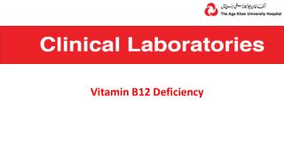 Vitamin B12 Deficiency