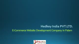 E-Commerce Website Development Company in Palam