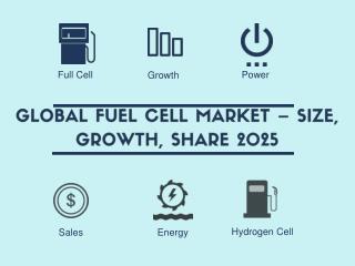 Global Fuel Cell Market - Size, Growth, Share 2025