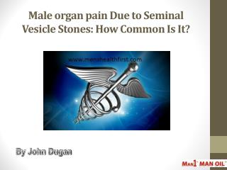 Male organ pain Due to Seminal Vesicle Stones: How Common Is It?