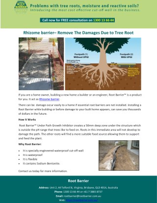 Rhizome barrierâ€“ Remove The Damages Due to Tree Root