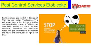 Pest Control Services Etobicoke