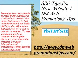 SEO Tips for New Website DM Web Promotions Tips