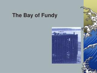 The Bay of Fundy