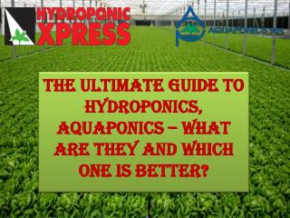 The Ultimate Guide to Hydroponics, Aquaponics â€“ What are they and which one is better?