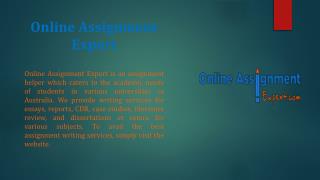 Online Assignment Expert for Assignment help