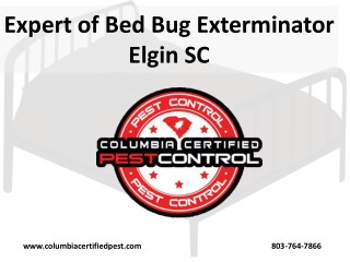 Expert of Bed Bug Exterminator Elgin SC