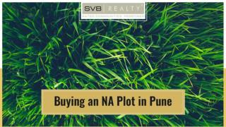 Buying an NA Plot in Pune