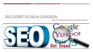 Hire SEO Expert Delhi for your online promotion