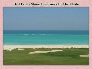 Best Cruise Shore Excursions In Abu Dhabi