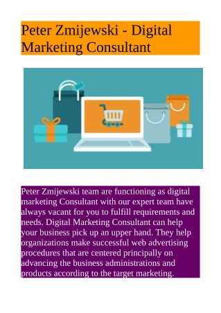 Peter Zmijewski - Digital Marketing Consultant