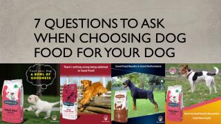 7 Questions To Ask When Choosing Dog Food