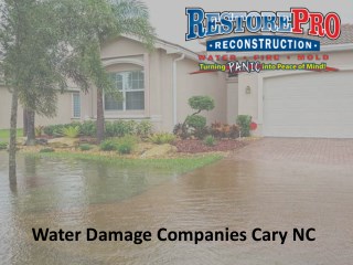 Water Damage Companies Cary North Carolina