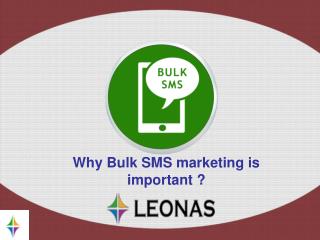 Why Bulk SMS marketing is important