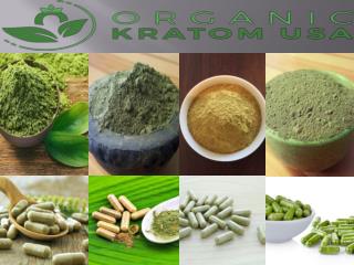 Top Kratom Wholesaler