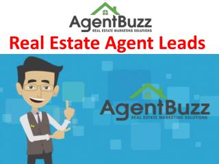 Real Estate Agent Leads