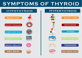 Symptoms of Thyroid