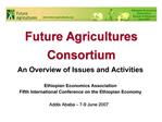 Future Agricultures Consortium