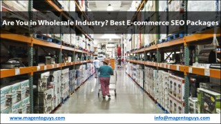 How To Choose Affordable E-commerce SEO Package For Wholesale Industry?