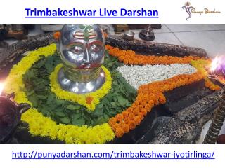 Visit here the live darshan of trimbakeshwar