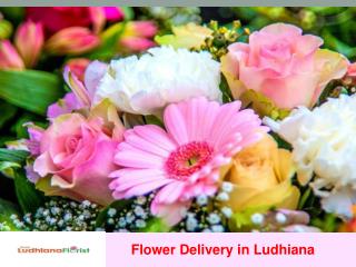 Flower Dilivery in Ludhiana