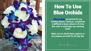 Make Gorgeous Arrangements with Blue Orchid Flower