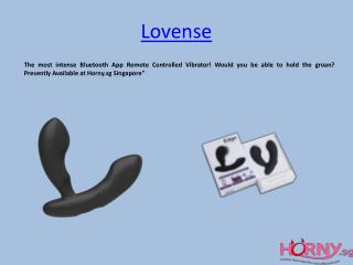 Lovense Lush Vibrator