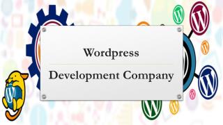 Best WordPress Development Company
