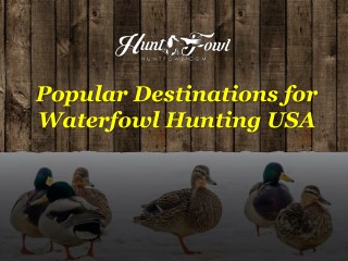 Popular Destinations for Waterfowl Hunting USA