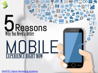 5 Reasons Why You Need A Better Mobile Experience - SKARTEC Academy