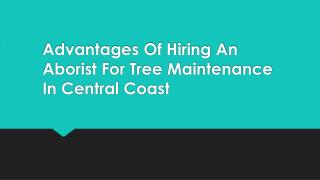 Advantages Of Hiring An Aborist For Tree Maintenance In Central Coast