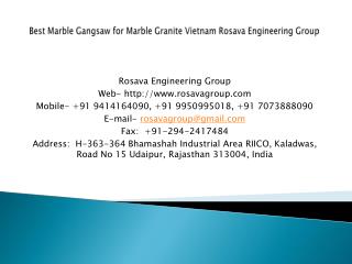 Best Marble Gangsaw for Marble Granite Vietnam Rosava Engineering Group