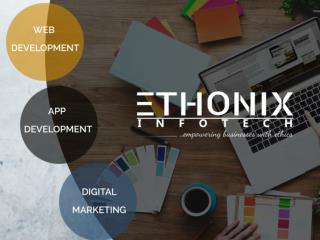 About ethonix Infotech