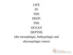 LIFEINTHEDEEP:THEOCEANDEPTHSthe mesopelagic