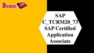 C_TCRM20_73 Real Exam Dumps