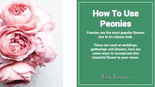 Know How to Use Peonies For Any Type of Event