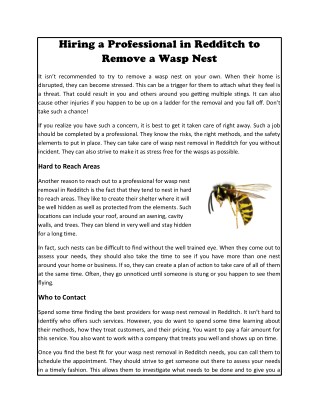 Hiring a Professional in Redditch to Remove a Wasp Nest