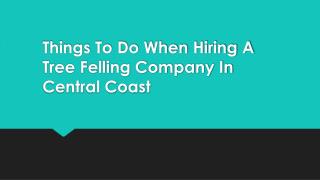 Things To Do When Hiring A Tree Felling Company In Central Coast