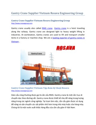 Gantry Crane Supplier Vietnam Rosava Engineering Group