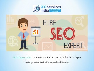 SEO Expert India - Top SEO consultants in India