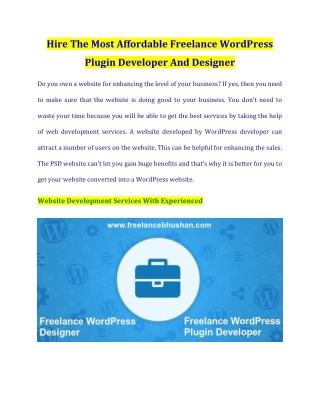 Hire The Most Affordable Freelance WordPress Plugin Developer And Designer