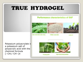 Super Absorbent Polymer in Agriculture