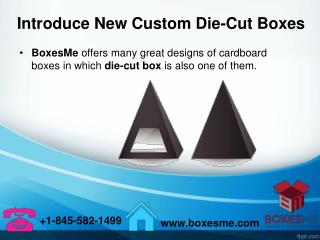 Introduce New Custom Die-Cut Boxes