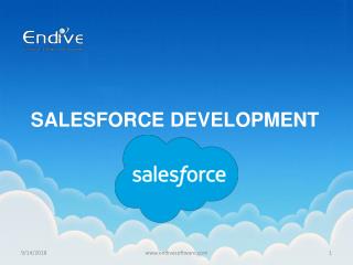 Salesforce Development by Endive Software