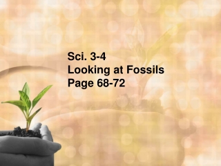 Sci. 3-4 Looking at Fossils Page 68-72