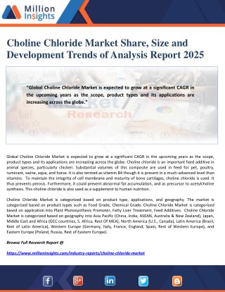 Choline Chloride Market Share, Size and Development Trends of Analysis Report 2025