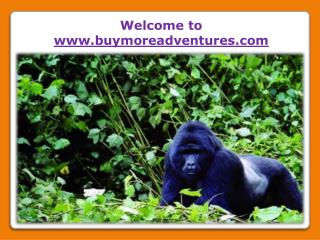 Uganda Wildlife Safari Tours